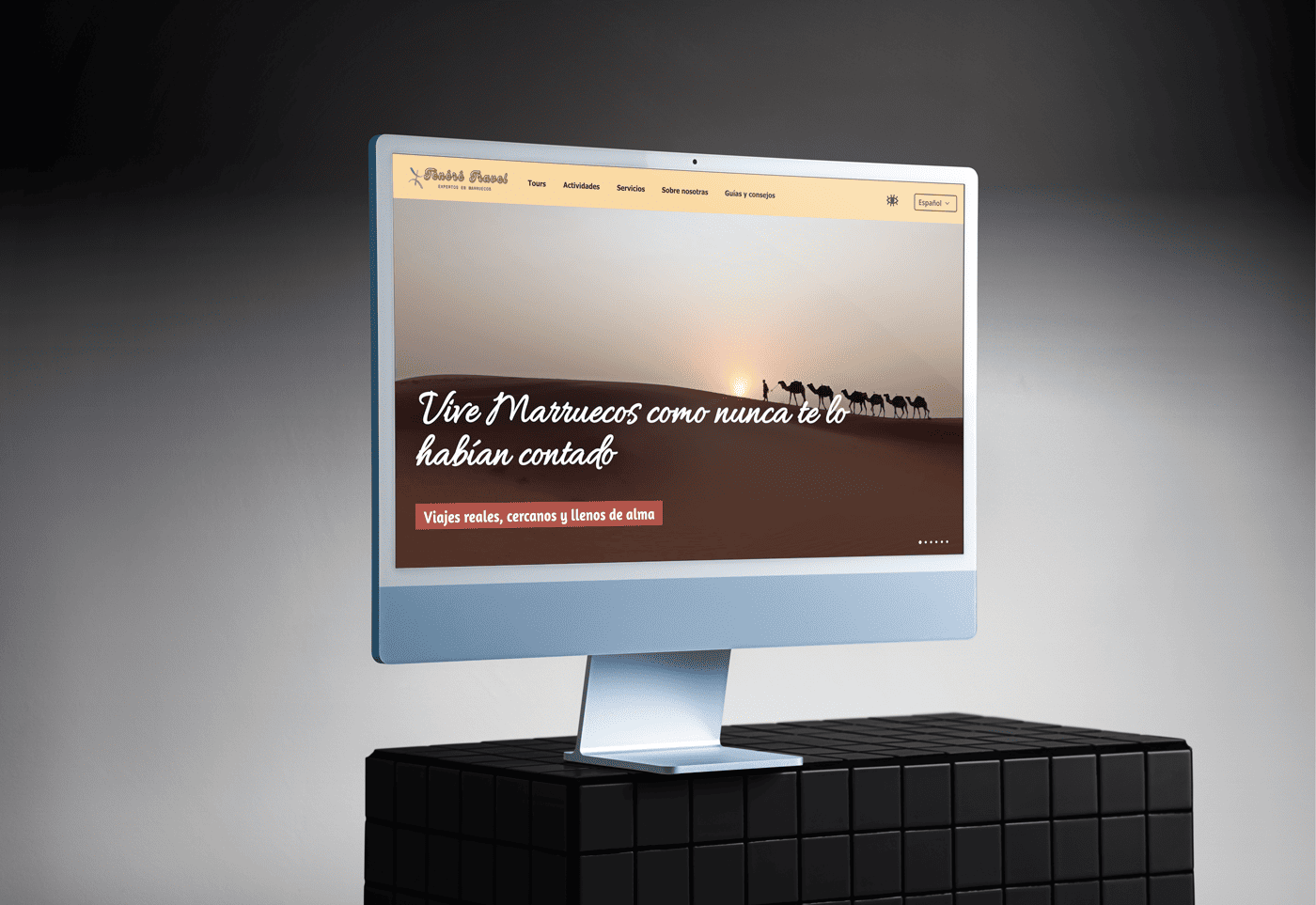 Captura de la web de Tenéré Travel
